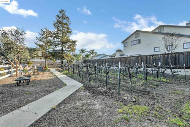 3215 Ohara Ave, Brentwood CA: https://media.crmls.org/mediaz/cb207735-5c3d-4aec-a369-e0972885b98c.jpg