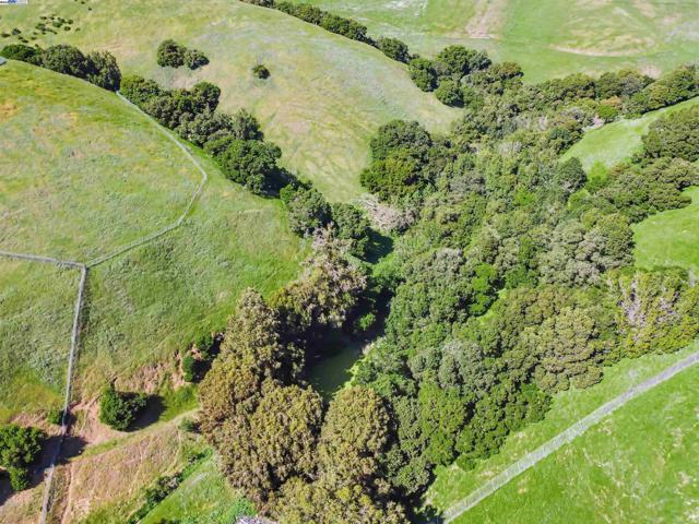 41794 Vargas Rd, Fremont CA: https://media.crmls.org/mediaz/cb33957d-c4c1-45ee-ab84-b9b95e0bd2fc.jpg