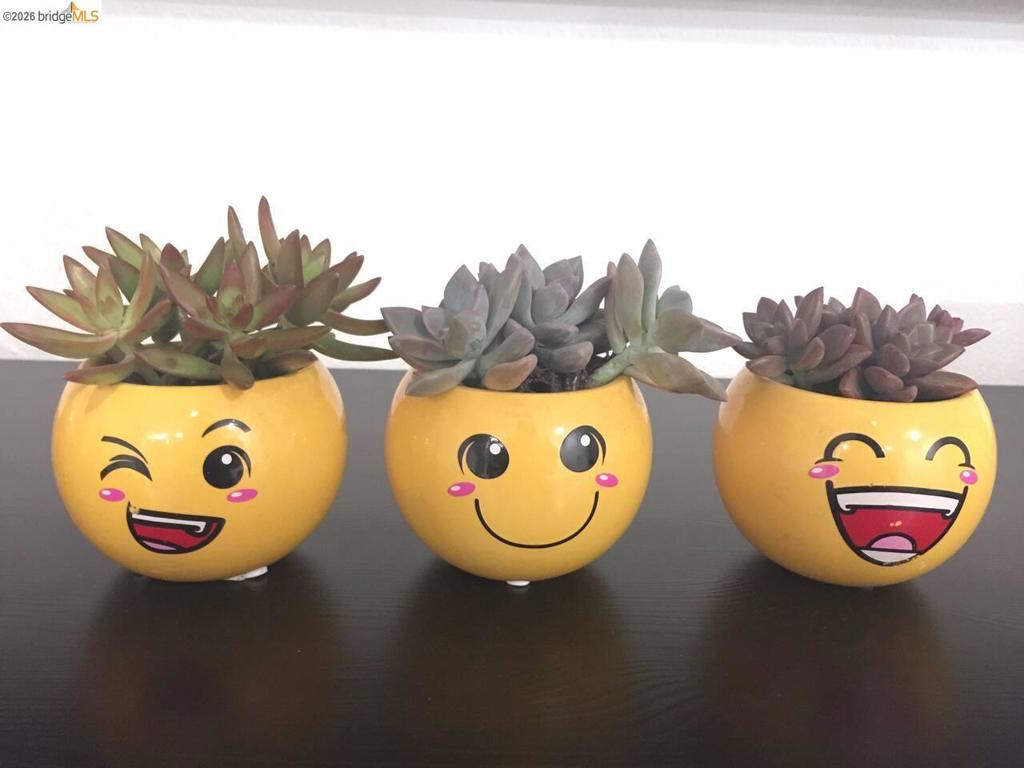 https://media.crmls.org/mediaz/cb3da2ff-296d-48ac-869c-6a9dd0318929.jpg?preset=X-Large
