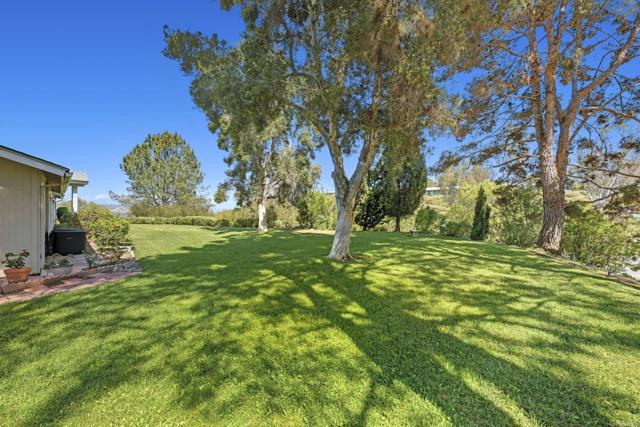 Lush landscape