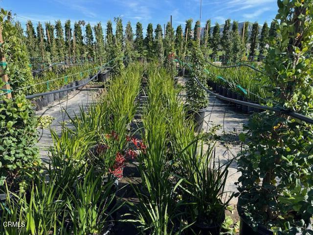 Detail Gallery Image 25 of 41 For 2245 California St, Fillmore,  CA 93015 - 2 Beds | 1 Baths