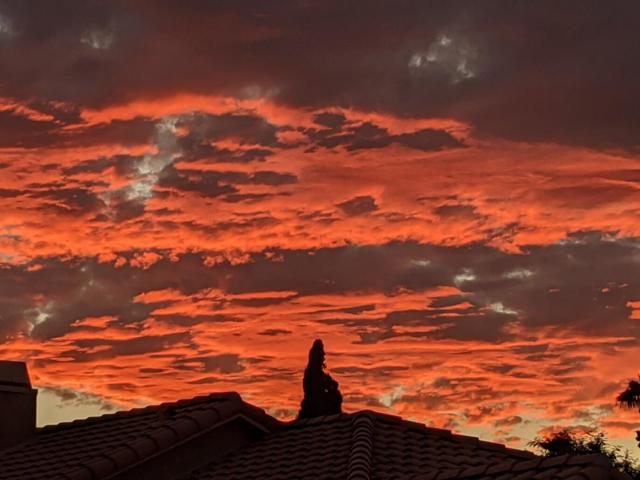 Image 38 of 43 For 80178 Golden Horseshoe Drive