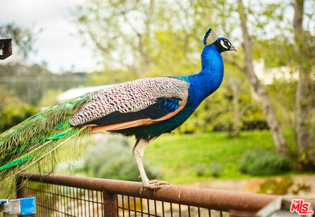 https://media.crmls.org/mediaz/cb618eed-730d-4867-b4e2-619b2debb8e0.jpg?preset=X-Large