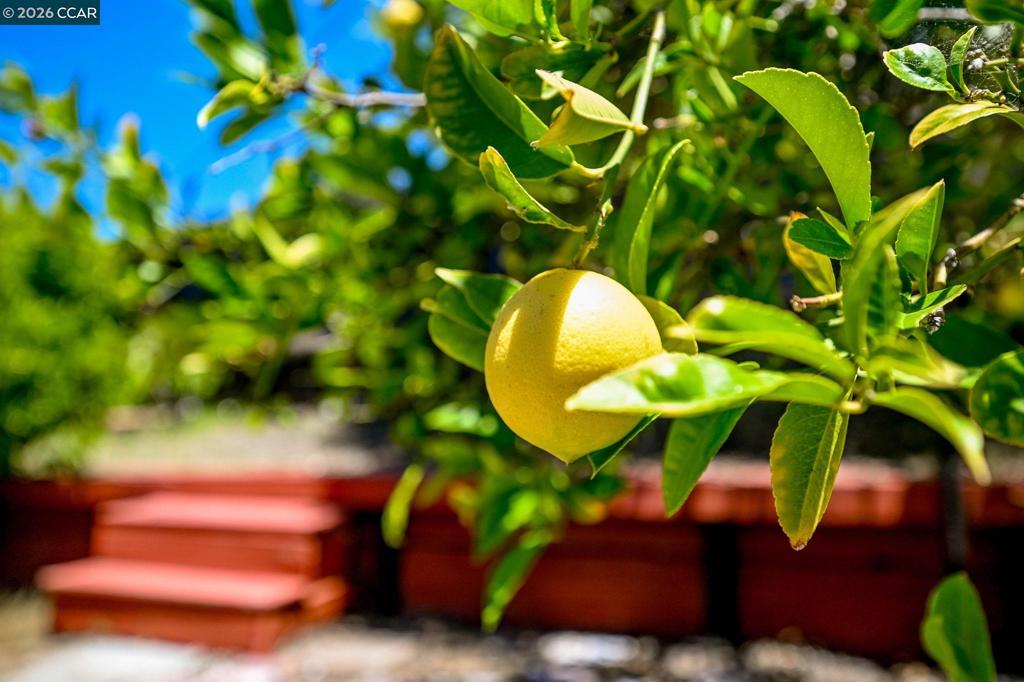 https://media.crmls.org/mediaz/cb63940a-e590-4538-9adf-571ded33bc7d.jpg?preset=X-Large
