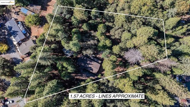 23656 Lightning Ln, Pioneer CA: https://media.crmls.org/mediaz/cb706ac8-6bd6-42aa-82c6-c41cf576a2cb.jpg