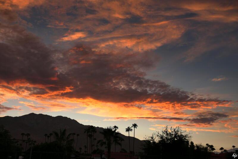 MLS #219139456DA image #47