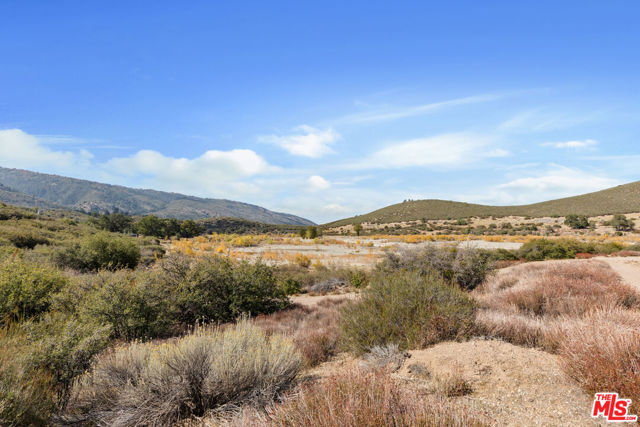 Image 32 of 59 For 28765 Pine Canyon Road