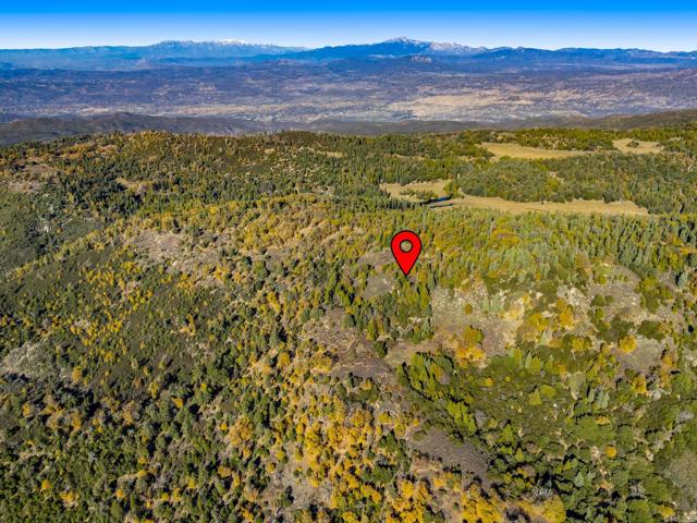 Detail Gallery Image 33 of 33 For 0 State Park Rd, Palomar Mountain,  CA 92060 - – Beds | – Baths