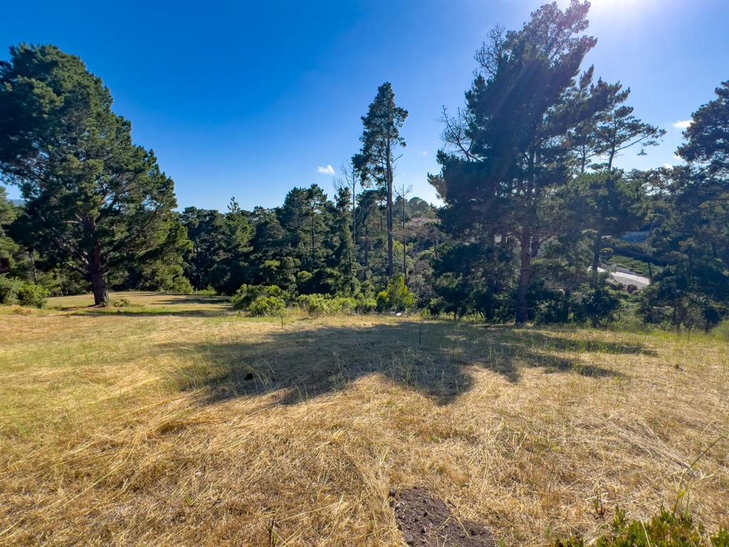 MLS #ML81971263 image #9