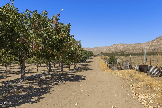 Detail Gallery Image 57 of 61 For 115 Quatal Canyon Rd, Unincorporated,  CA 93252 - – Beds | – Baths