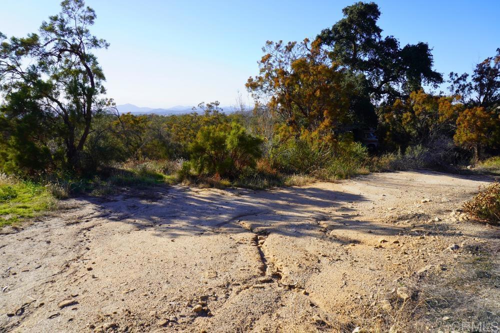 MLS #PTP2507282 image #11