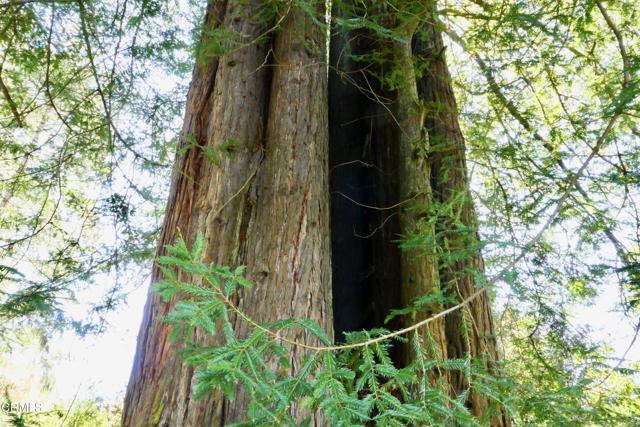 Detail Gallery Image 33 of 33 For 30860 Simpson Ln, Fort Bragg,  CA 95437 - 2 Beds | 2 Baths