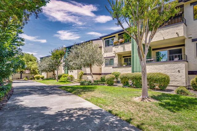 777 San Antonio Road, Palo Alto CA: https://media.crmls.org/mediaz/cba05ff0-11f1-4d40-b352-774935203ecc.jpg