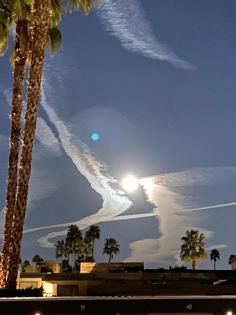 1490 S Camino Real, Palm Springs CA: https://media.crmls.org/mediaz/cbb536e2-b848-4711-9d7f-801449685427.jpg