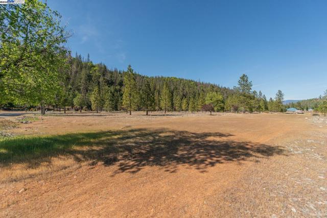 430 Bridge Rd, Douglas City CA: https://media.crmls.org/mediaz/cbbd9b0f-d7a5-4f1c-ad38-f9c35c4aa7c8.jpg