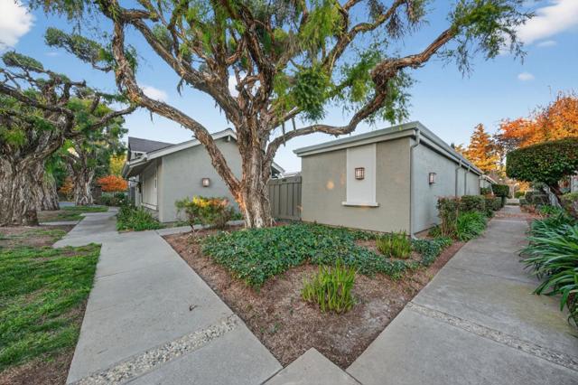 1342 Star Bush Lane, San Jose CA: https://media.crmls.org/mediaz/cbc0a98e-66e2-4936-8495-8130db9bac66.jpg