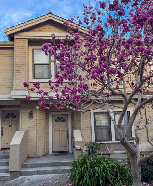 991 La Mesa Terrace, Sunnyvale CA: https://media.crmls.org/mediaz/cbc8b759-d679-44cc-aaf0-9a15bb72d3c2.jpg