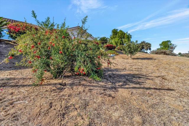 3026 Via Loma, Fallbrook CA: https://media.crmls.org/mediaz/cbce0b25-bb46-4c0f-9ff0-63de67d3faa6.jpg