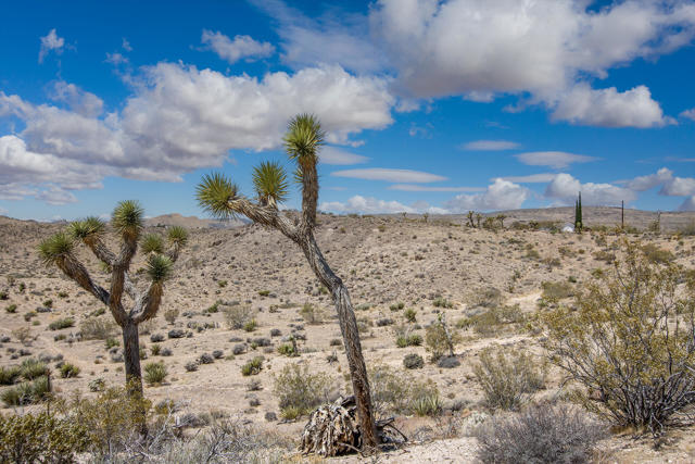 57349 Mesa Drive, Yucca Valley CA: https://media.crmls.org/mediaz/cbcf4a65-0954-46a1-a7d8-9edbe36f7743.jpg