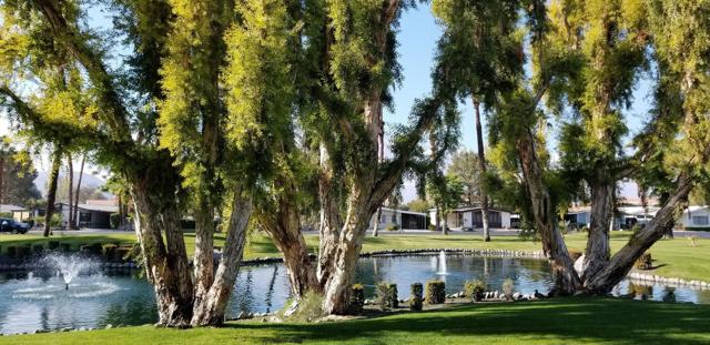 234 Settles Drive, Cathedral City CA: https://media.crmls.org/mediaz/cbd0a943-cda6-462a-8d4e-86dd9dfa0cf5.jpg