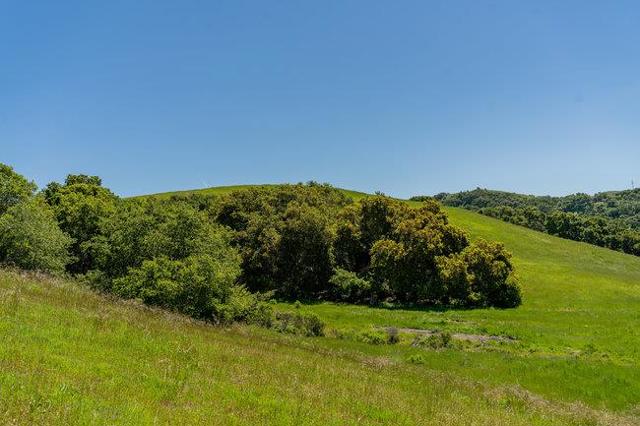 100 Old Stage Rd, San Juan Bautista CA: https://media.crmls.org/mediaz/cbd791ca-3251-450a-97aa-eb080a375ecf.jpg