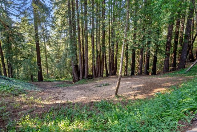 MLS #ML82007395 image #8