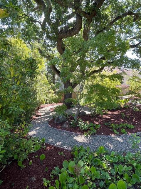 23951 Spalding Avenue, Los Altos CA: https://media.crmls.org/mediaz/cbeb87ad-55b9-48e3-9e88-430b2c4d6bbe.jpg