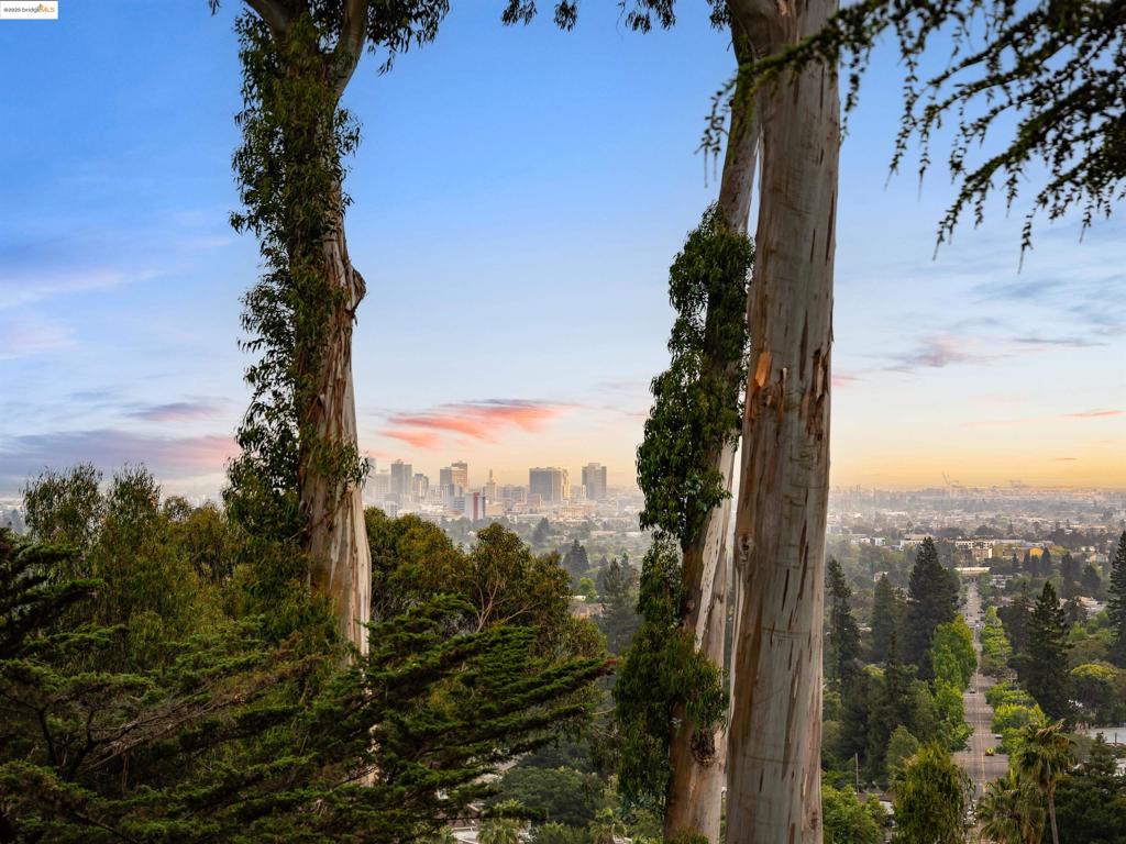 https://media.crmls.org/mediaz/cbf4e045-a948-40c0-b105-c5dc75d077dd.jpg?preset=X-Large