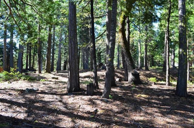 3112 Apache Road, Dorrington CA: https://media.crmls.org/mediaz/cbf946c1-6a04-4a1b-8038-a61f67f10332.jpg