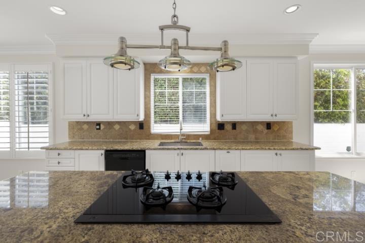 1312 Corvidae Street - photo 16