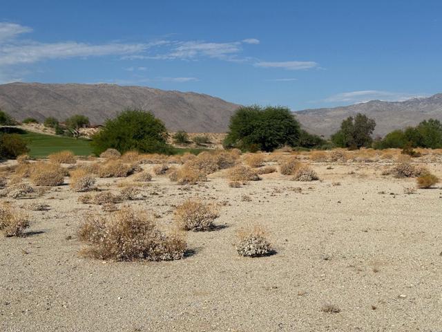 Detail Gallery Image 2 of 4 For 0 Roadrunner Dr, Borrego Springs,  CA 92004 - – Beds | – Baths