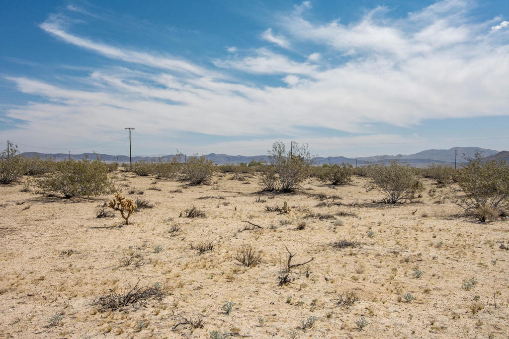 MLS #219130433PS image #4