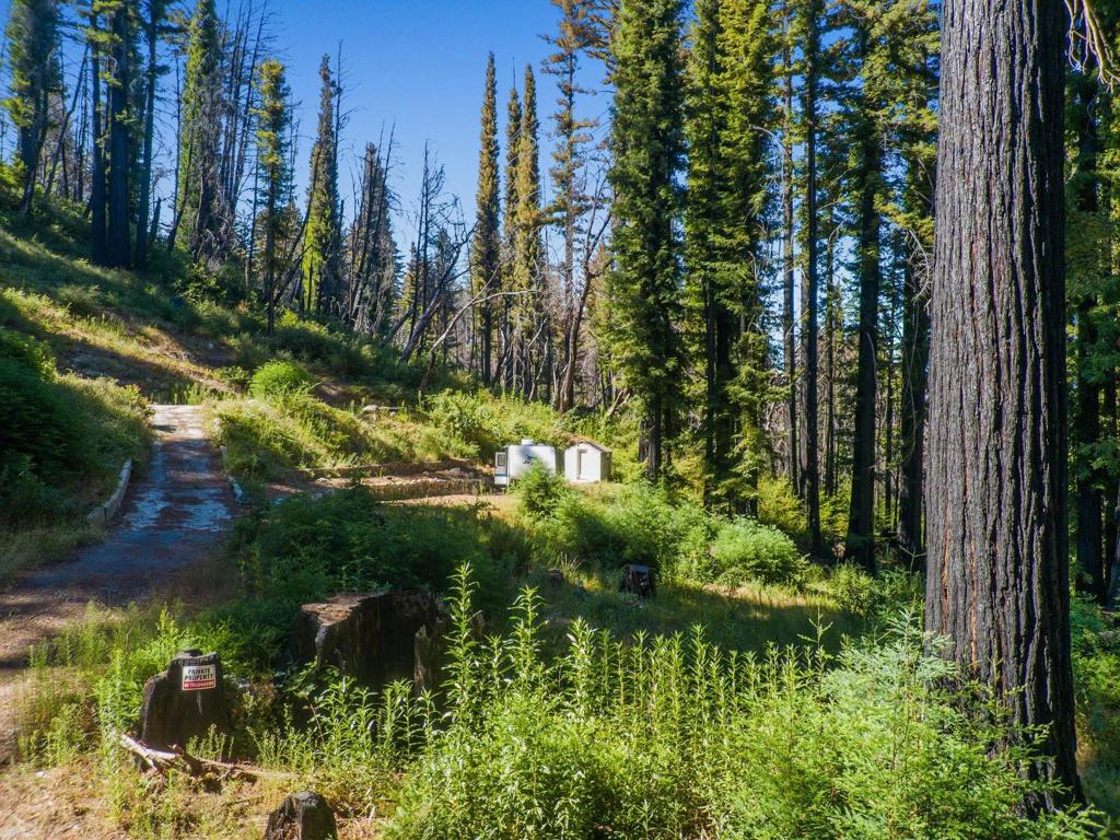 MLS #ML82019121 image #24