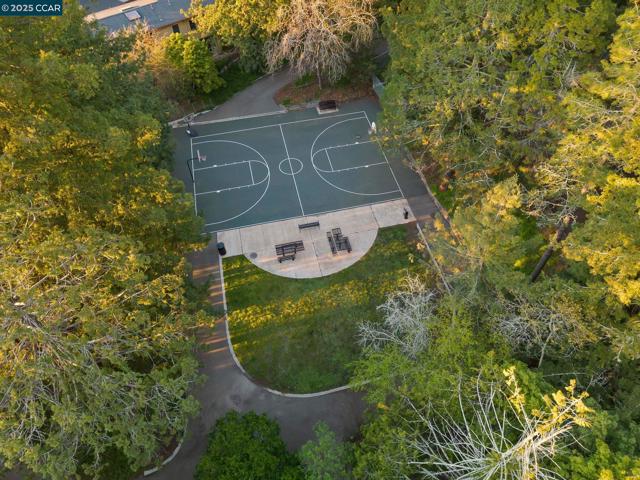 230 Fairlawn Dr, Berkeley CA: https://media.crmls.org/mediaz/cc005687-e68e-4dfa-9ccf-b52748b9d6f6.jpg