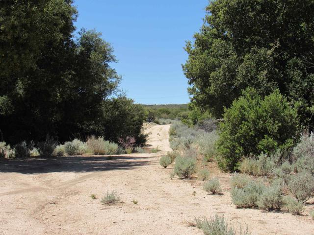 Detail Gallery Image 39 of 47 For 200 Acres Mccain Valley Rd, Boulevard,  CA 91905 - – Beds | – Baths