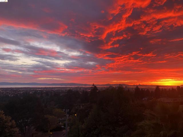 Image 22 of 60 For 33 Somerset Rd