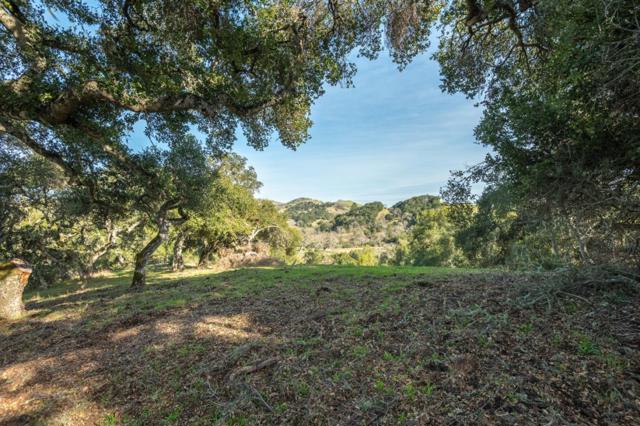 5 Vasquez Trail (Lot 170), Carmel CA: https://media.crmls.org/mediaz/cc186fd6-522d-48a3-bbb1-c90c14730738.jpg