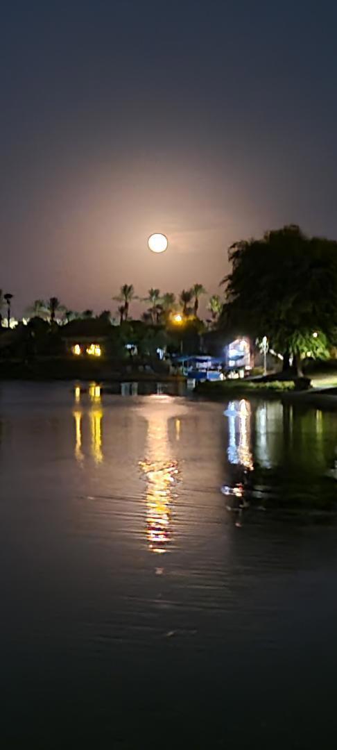 https://media.crmls.org/mediaz/cc1ae22d-e791-4ab9-886c-baa957258cc2.jpg?preset=X-Large