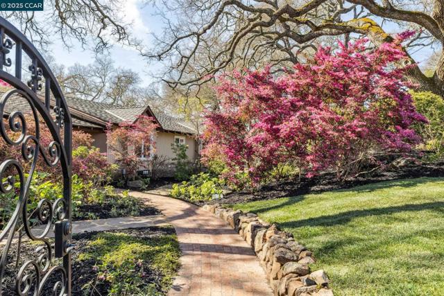 2160 Ridgewood Rd, Alamo CA: https://media.crmls.org/mediaz/cc1cded1-628a-49dc-b0c0-a10188299996.jpg