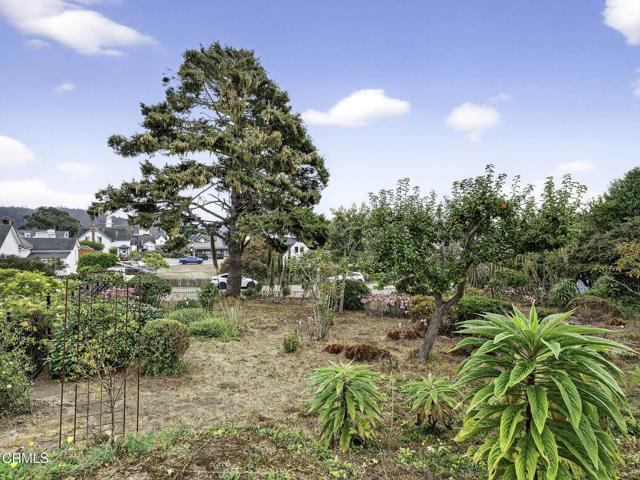 Detail Gallery Image 32 of 43 For 45060 Covelo St, Mendocino,  CA 95460 - 3 Beds | 1 Baths