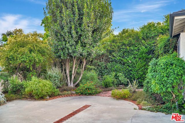 16771 Addison Street photo 5