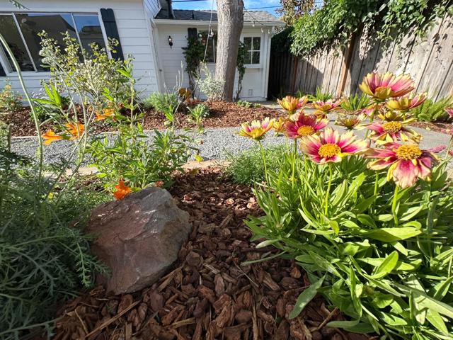 1183 Yosemite Avenue, San Jose CA: https://media.crmls.org/mediaz/cc2549db-b334-43ee-941a-0713a19c1b86.jpg