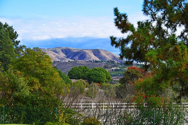 6710 El Montevideo, Rancho Santa Fe, California 92067, ,Land,For Sale,6710 El Montevideo,CRNDP2400007