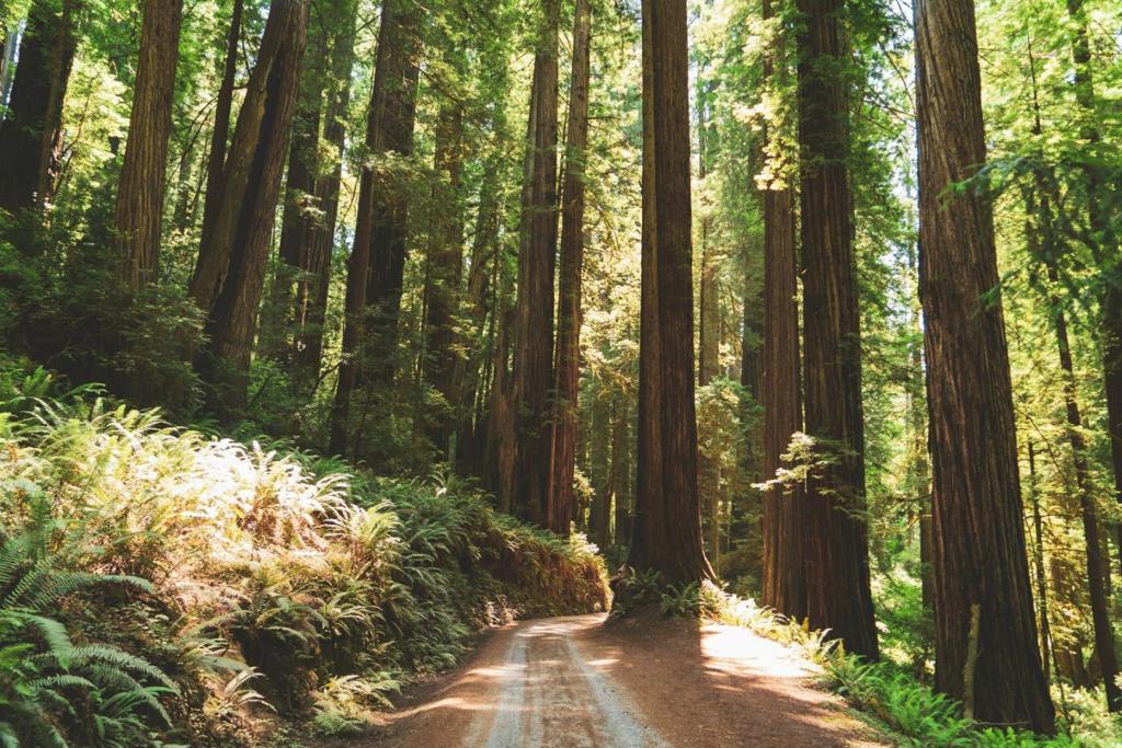 https://media.crmls.org/mediaz/cc299ab4-eceb-4faa-92c4-9cf508d798da.jpg?preset=X-Large