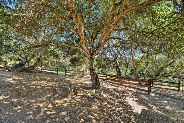 19250 Reavis Way, Salinas CA: https://media.crmls.org/mediaz/cc2c859f-4efc-4464-994c-ecc66f6545d3.jpg