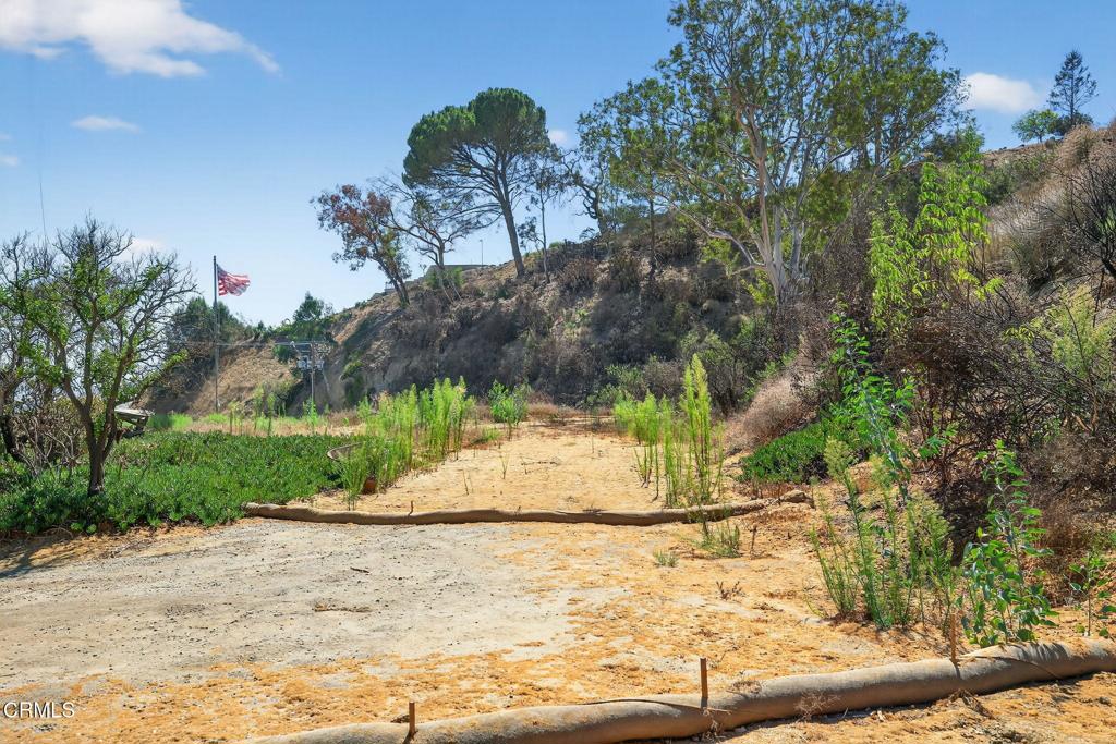 MLS #V1-32289 image #3