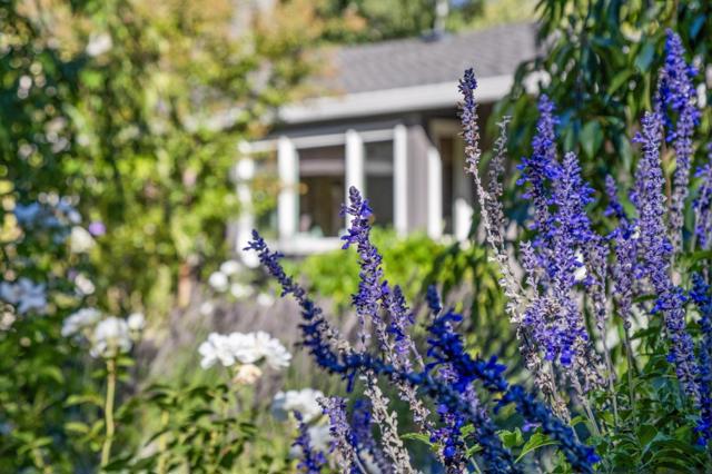 19273 Citrus Lane, Saratoga CA: https://media.crmls.org/mediaz/cc366b32-eb1c-4af6-b149-1153f1157357.jpg