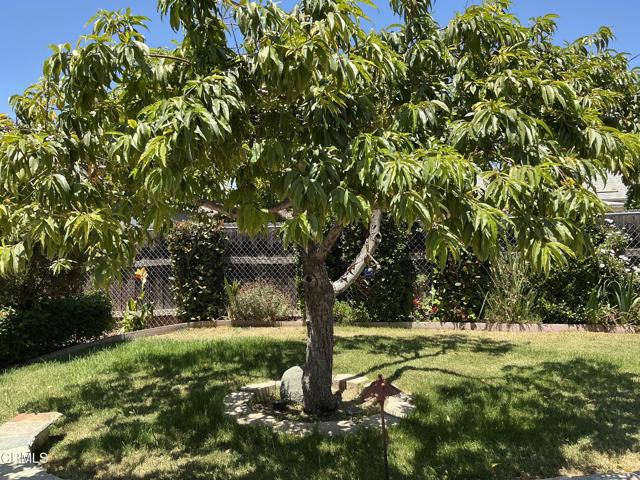285 Second Street, Moorpark CA: https://media.crmls.org/mediaz/cc3d15d3-5761-4b4c-9dd5-09d7f21807c1.jpg