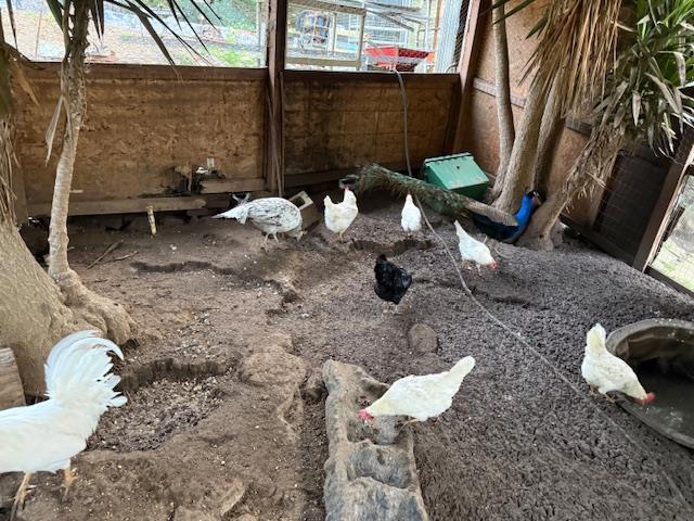 Image 21 of 31 For 18171 Berta Canyon Road