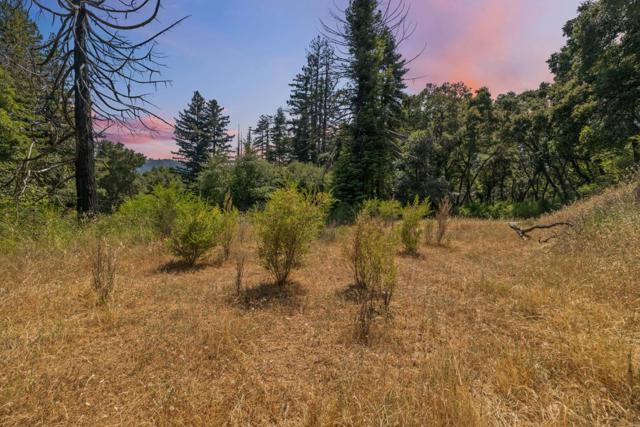 201 Hill House Road, Boulder Creek CA: https://media.crmls.org/mediaz/cc405052-8a3b-4bf9-aef9-836cf22ebc55.jpg